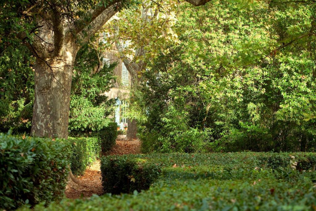 Chateau De Saint Martin Taradeau Dış mekan fotoğraf